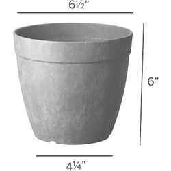 Novelty Artstone 6 in. H X 6.5 in. D Resin Dolce Planter Gray