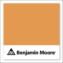Benjamin Moore Brilliant Amber 161