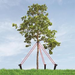 Master Mark Multicolored Plastic Tree Stake Kit