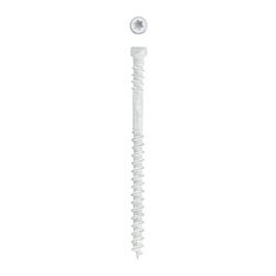 SPAX PowerTrim No. 8 Label X 2-1/2 in. L Star Trim Head Serrated Trim Screws
