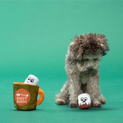 Bark For Dog Multicolored Plush Sniff Miss Dog Toy 1 pk