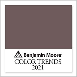 Benjamin Moore Amazon Soil 2115-30