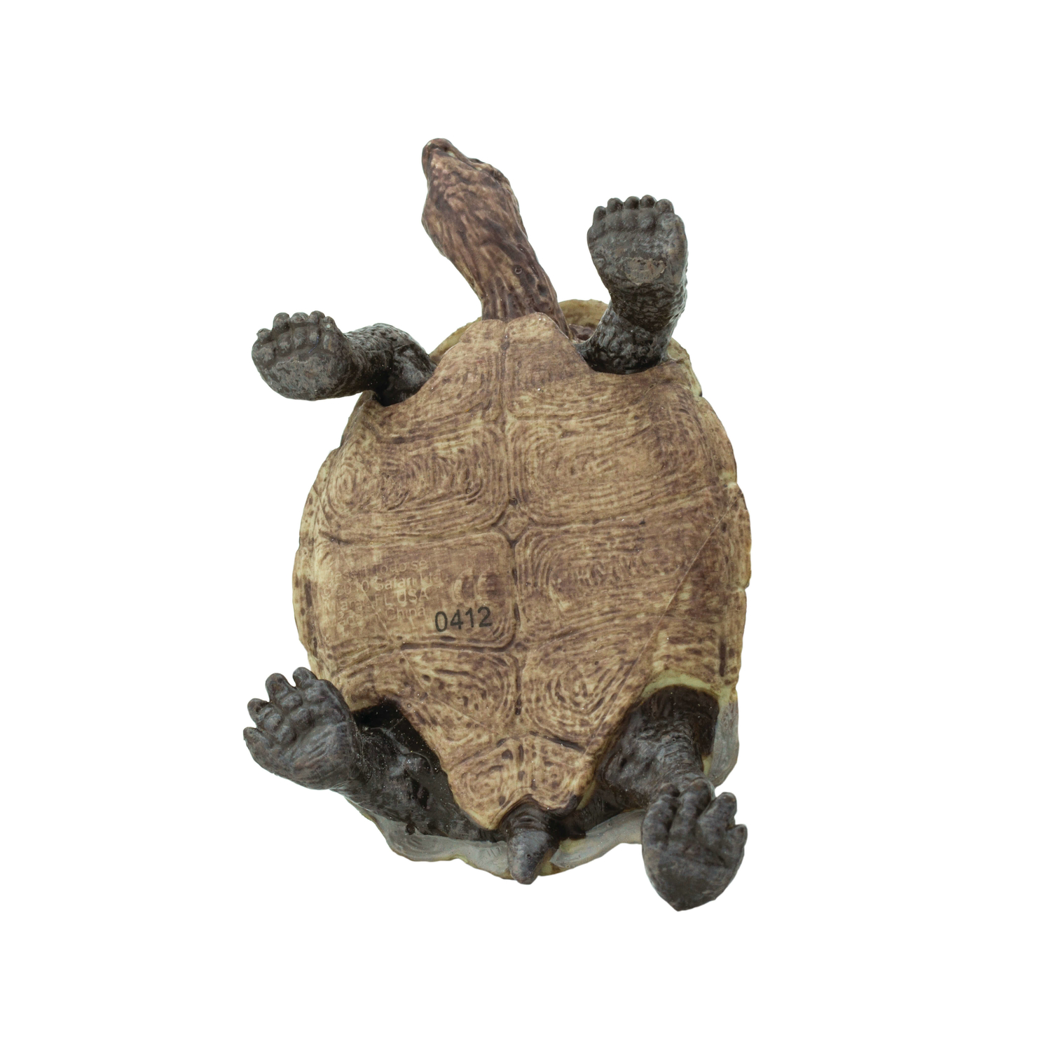 image-3