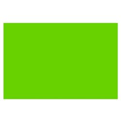Bazic Products 20 in. W X 30 in. L Fluorescent Green Foam Board