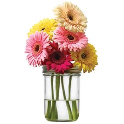 Jarware 0.25 in. H X 3.25 in. L Green Plastic Mason Jar Flower Grid