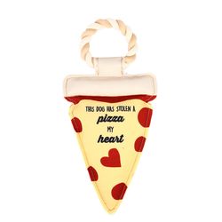 Pavilion Pavilion's Pets For Dog Multicolored Cotton Pizza Squeak Dog Toy 13 1 pk