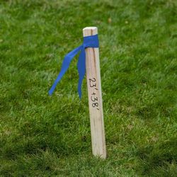 C.H. Hanson 300 ft. L X 1.2 in. W Polyethylene Flagging Tape Blue