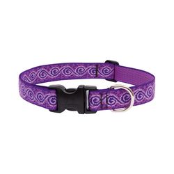 LupinePet Original Designs Multicolor Jelly Roll Nylon Dog Adjustable Collar