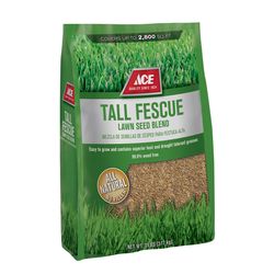 Ace Tall Fescue Grass Sun or Shade Grass Seed 7 lb