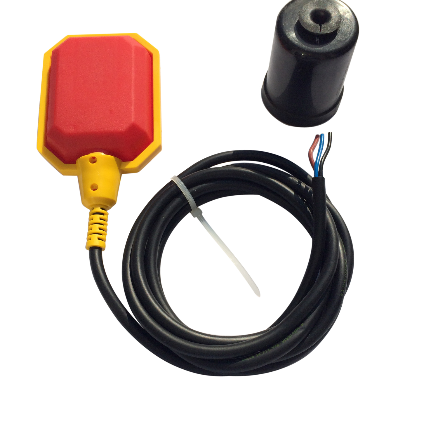 image-2