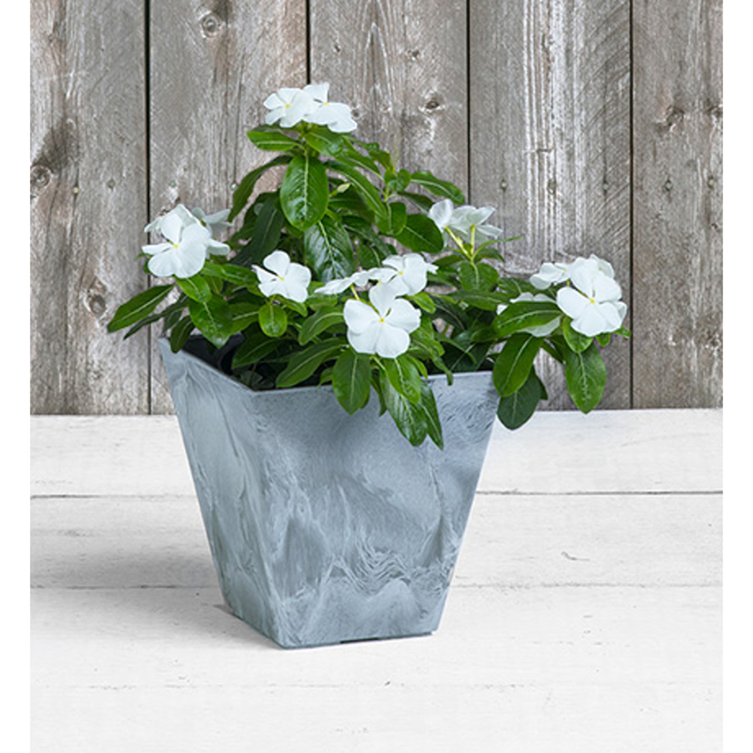 image-5