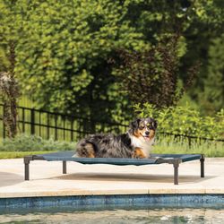 Coolaroo Blue Polyethylene Elevated Pet Bed 6.3 in. H X 27.5 in. W X 41 in. L