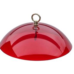 Birds Choice 5 in. H X 10.5 in. W Bird Feeder Weather Guard
