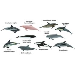 Safari Ltd. Toobs Dolphins Toy Multicolored 10 pc