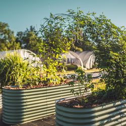 Vego Garden 32 in. H Metal 9 in 1 Raised Garden Bed Olive Green