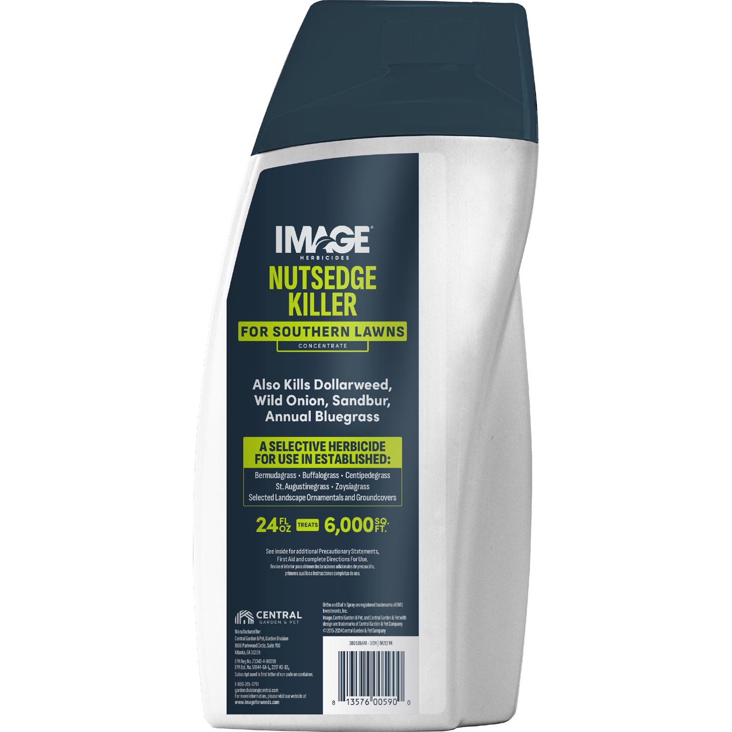 image-10