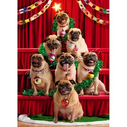 Avanti Press Greeting Card