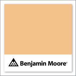 Benjamin Moore Citrus Blossom 123
