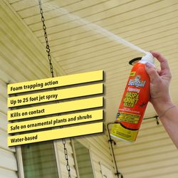 Bengal Foaming Insect Killer Foam 16 oz