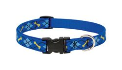 LupinePet Original Designs Multicolor Dapper Dog Nylon Dog Adjustable Collar