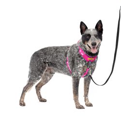 PetSafe Easy Walk Pink Fabric Dog Harness Medium/Large