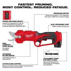M12 Pruner Tool w 2.0Ah and 5.0Ah Battery Packs Kit