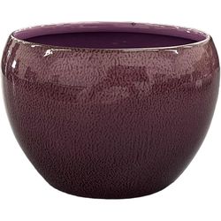 Robert Allen 4 in. D Steel Petite Braeburn Planter Purple