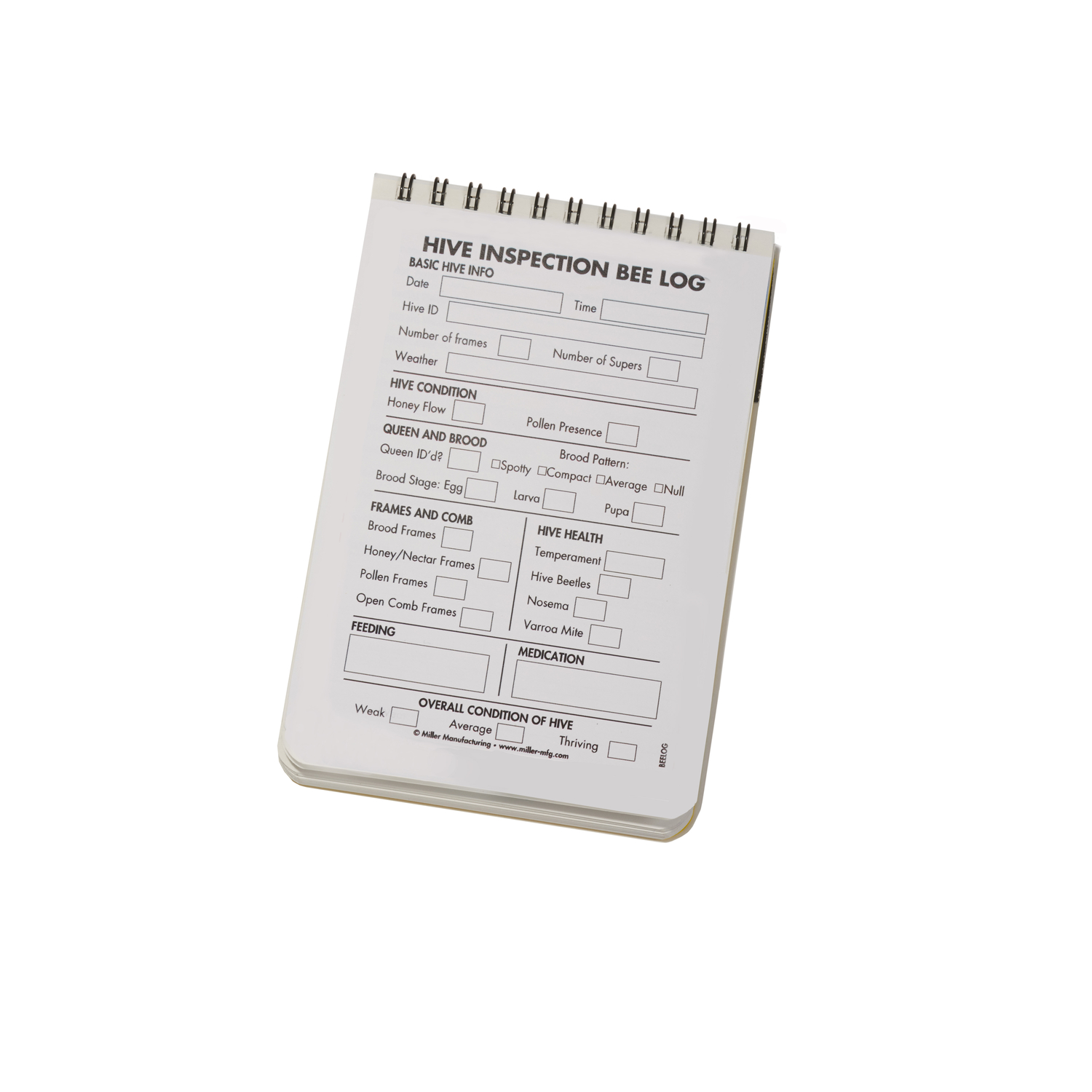 image-2
