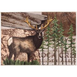 Olivia's Home 22 in. W X 32 in. L Multi-Color Polyester Accent Rug