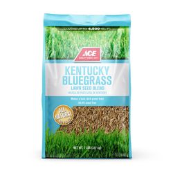 Ace Kentucky Bluegrass Full Sun Grass Seed 7 lb