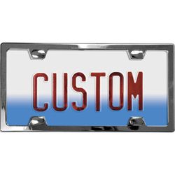 Custom Accessories Silver Metal License Plate Frame