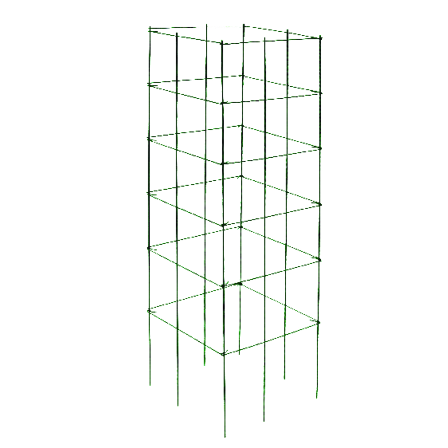image-1