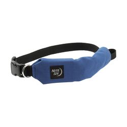 Nite Ize RadDog Blue Dog Collar and Leash Large