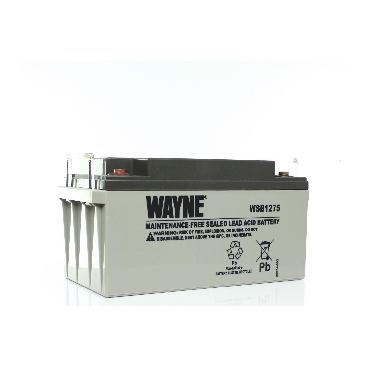 image-2