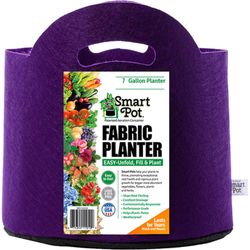 Smart Pot 9.5 in. H X 14 in. W X 14 in. D X 14 in. D Geo-Thermal Fabric Grow Bag Planter Purple
