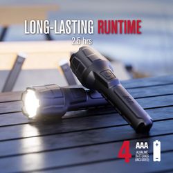 Ace 100 lm Black LED Flashlight AAA Battery