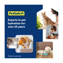 PetSafe White Plastic 64 oz Pet Water Fountain For All Pets