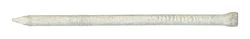Ace 10D 3 in. Casing Hot-Dipped Galvanized Steel Nail Brad Head 1 lb