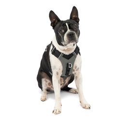 PetSafe Journey Air Black Nylon Dog Harness Small