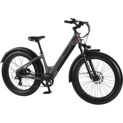 Retrospec Koa Rev 3 Unisex Fat Tire Bicycle Matte Graphite