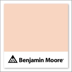 Benjamin Moore Pumpkin Mousse 058