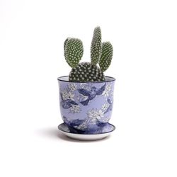 Chive Liberte 3.25 in. D Ceramic Succulent Pot Blue Swallows