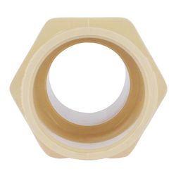 Charlotte Pipe FlowGuard 1 in. Socket X 1 in. D MPT CPVC Adapter