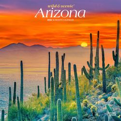 BrownTrout Publishers Wild & Scenic Arizona Calendar