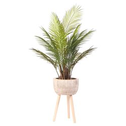 DW Silks 42 in. H X 24 in. L Polyester Palm in Wood Planter with Legs