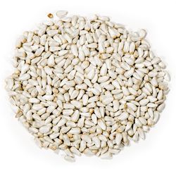 Nature's Nuts Premium Wild Bird Food 4 lb
