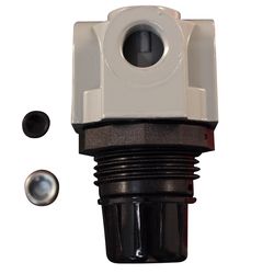 Milton Glass Filled Nylon Mini Regulator 1/4 in. NPT 250 psi 1 pc