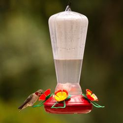 More Birds Hummingbird 25 oz Plastic Nectar Bird Feeder 4 ports
