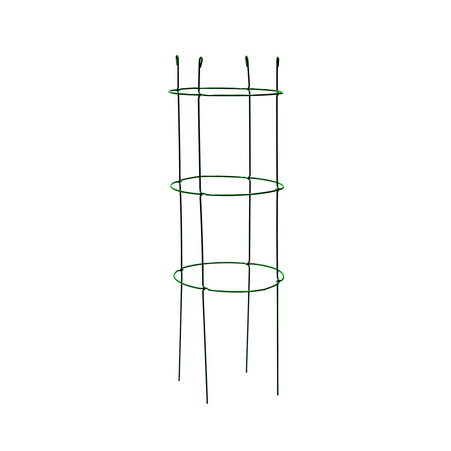 image-1