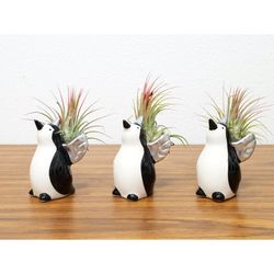 Eve's Garden 5 in. H X 2 in. W X 2 in. D Ceramic Penguin Unicorn Air Plant and Succulent Multicolore